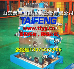 泰豐現(xiàn)貨供應(yīng)YN32-100GSCV帶快速缸，下腔Dg10
