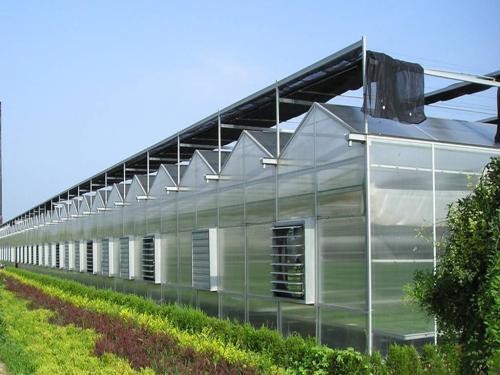 連棟溫室設(shè)計建造特點