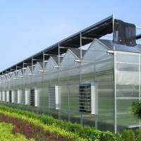 連棟溫室設(shè)計(jì)建造特點(diǎn)